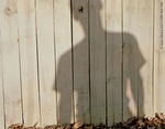 Schatten 